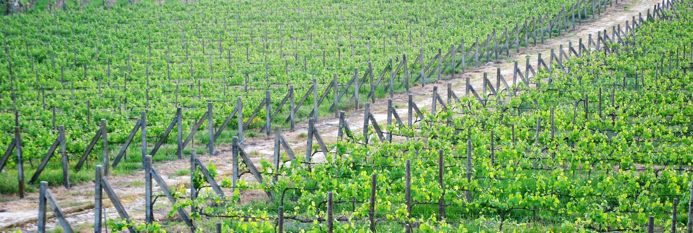 terroirs1
